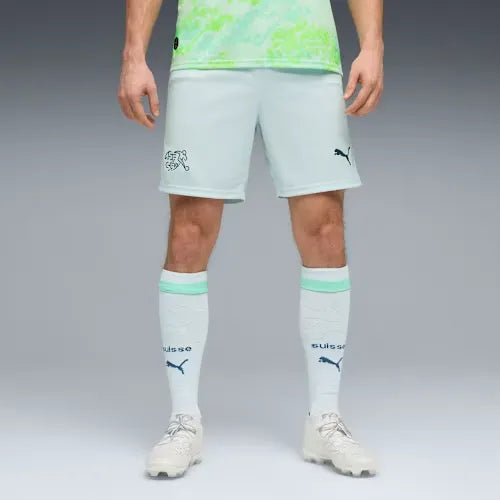 Schweiz Shorts 2026 Herren