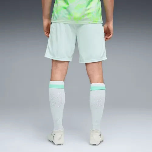 Schweiz Shorts 2026 Herren