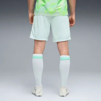 Schweiz Shorts 2026 Herren